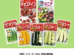 サカタのタネ、絵袋種子「実咲」シリーズからミニトマト「チョコアイコ」など2021年春の新商品7点を発売