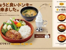 アレフ、ハンバーグレストラン「びっくりドンキー」で「もっといろどりセット」