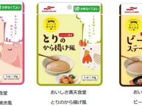 マルハニチロ、在宅向け介護食「おいしさ満天食堂」シリーズから肉メニュー3品