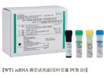 大塚製薬、中国において体外診断用医薬品 WT1 mRNA測定キット