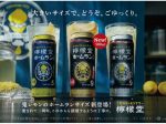 コカ・コーラシステム、「檸檬堂 ホームランサイズ 鬼レモン」（500ml缶）