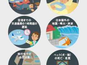 ZIPAIR Tokyo、チャブ保険の「旅のキャンセル保険」及び「海外旅行保険」