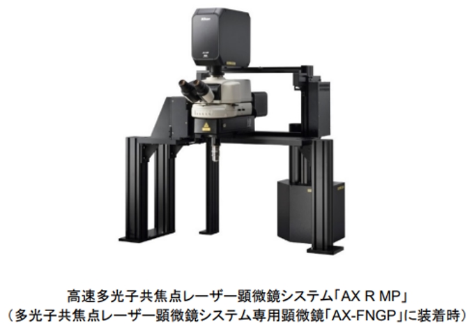 ニコン、高速多光子共焦点レーザー顕微鏡システム「AX R MP」