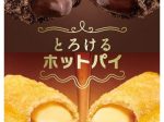 日本マクドナルド、「カナディアンメープルカスタードパイ」「ベルギーショコラパイ」を期間限定発売