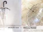 マドラス、江戸時代から300年続く傘のホワイトローズとのコラボレーション・アンブレラを発売