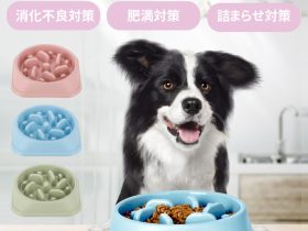 イエロー、「早食い防止 フードボウル 犬 食器 猫 ペット」を販売