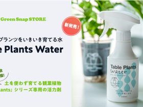 GreenSnap、活力剤「Table Plants Water （テーブルプランツウォーター）」を発売