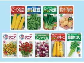 サカタのタネ、絵袋種子「実咲」シリーズから2023年春の新商品9点を発売