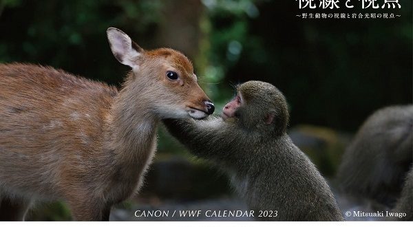キヤノンMJ、キヤノン/WWFカレンダー2023「視線と視点〜野生動物の視線と岩合光昭の視点〜」を発売
