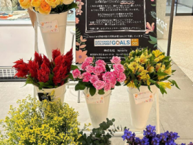 ブックオフ、規格外の花「プラスフラワー」を都内ブックオフ2店舗で販売開始