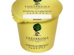 北海道乳業、「ミュゼ ドゥ ショコラ テオブロマ」とのタイアップ「THEOBROMA ショコラプリン」を発売
