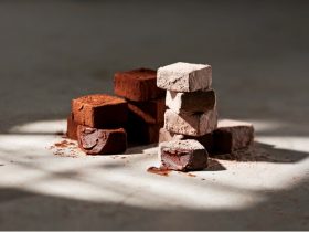 カカオティエゴカン、世界中から厳選したカカオ豆でおつくりするバレンタイン・ホワイトデー限定の新作ショコラを発売
