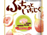 UHA味覚糖、大阪調理製菓専門学校と開発した商品「ぷちっといちじく」「くるみ餅キャンディ」を近畿エリアにて発売