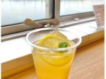 ジャンボフェリー、新船あおいと既存船りつりん2の船内カフェ&ショップで「さぬきレモンソーダ(発酵生姜)」を発売
