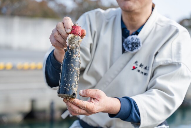 湯浅醤油、「海中熟成醤油」を300本限定発売