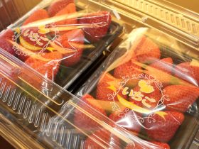 エフピコチューパ、手軽にイチゴ食べ比べセットを販売できるセット容器『ＳＴＲ－平２個セットパック』を発売