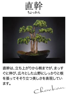 JR東日本商事とJR東日本ライフサービス、「ART BONSAI(アート盆栽)」を販売
