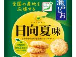 栗山米菓、「瀬戸しお日向夏味」を発売
