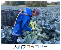 ファンデリー、鳥取県大山町産「大山ブロッコリー」を使用したJA鳥取西部とのコラボ商品を「旬をすぐに」にて発売