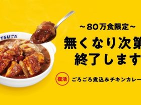 松屋フーズ、「松屋」で「ごろごろ煮込みチキンカレー」を80万食限定発売