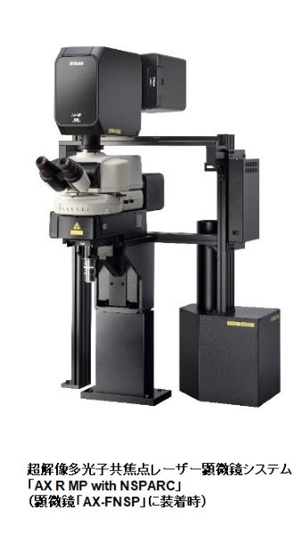 ニコン、超解像多光子共焦点レーザー顕微鏡システム「AX R MP with NSPARC」を発売