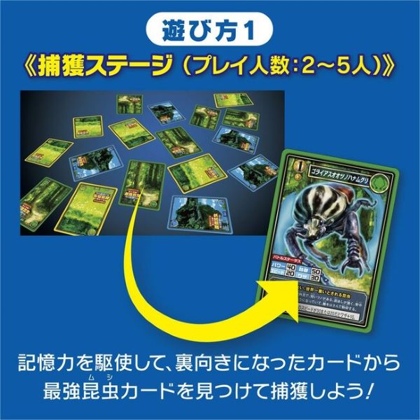 西東社、『記憶力バトル頂上決戦！最強昆虫カードゲーム』を発売