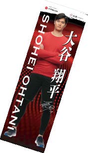 西川、大谷翔平選手オリジナルタオルを発売