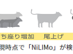 ニコン、牛の分娩の兆候をAIで検知するライブモニタリングシステム「NiLIMo」を発売