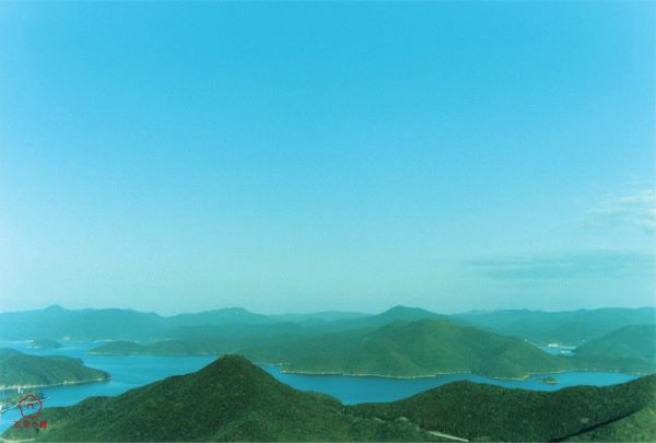 五島の椿、『五島の日』期間限定「五島の日 特別セット」を発売