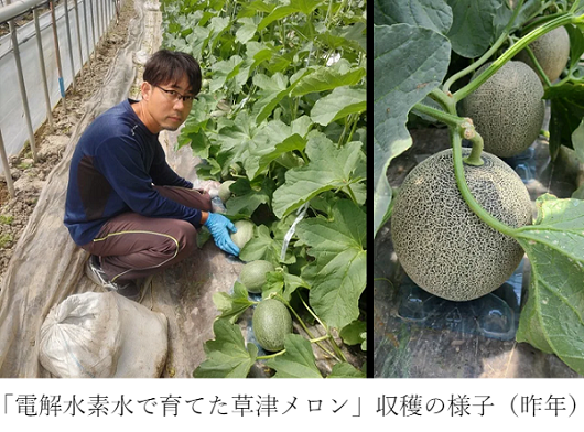 日本トリム、「電解水素水で育てた草津メロン」を「横江農園」のHPにて300セット限定で販売