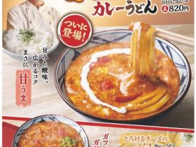 丸亀製麺、「甘口トマたまカレーうどん」を期間限定販売