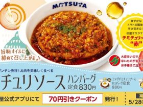 松屋フーズ、「松屋」で「チミチュリソースハンバーグ定食」を発売