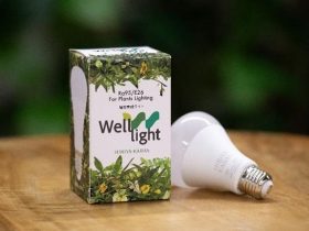日比谷花壇、緑化事業ブランド「Wellne」でオリジナルの植物育成LEDライト「Well-light」を販売開始