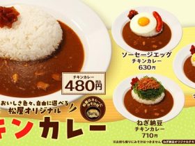 松屋フーズ、「松屋」で「オリジナルチキンカレー」をレギュラーメニューとして販売開始