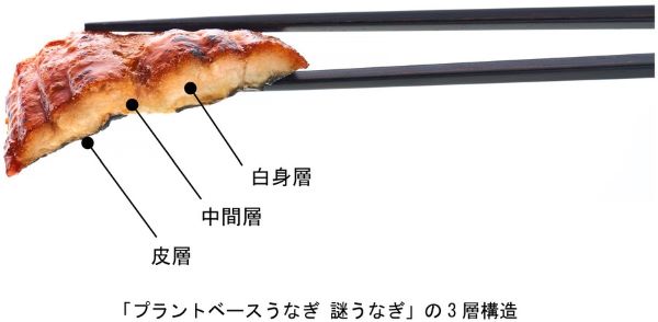 日清食品、「プラントベースうなぎ 謎うなぎ」を日清食品グループオンラインストアで期間・数量限定発売