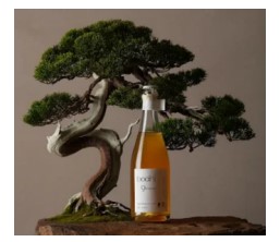 アイシン、「Makuake」にてSPARKLING TEA WINE「bodhi9(nava)」を100本限定販売