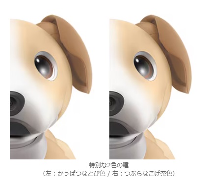 ソニーグループ、自律型エンタテインメントロボット「aibo」の2024年カラーモデル「aiboきなこエディション」を発売