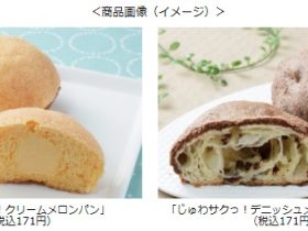 ローソン、「とろサクっ！クリームメロンパン」と「じゅわサクっ！デニッシュメロンパン チョコ」を発売