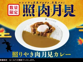 壱番屋、「照りやき肉月見カレー」を販売