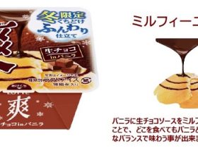 ロッテ、「爽」ブランドから「爽 生チョコinバニラ」を発売