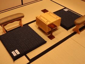 昭和西川、日本将棋連盟と共同開発した「対局用ムアツ座布団」を発売