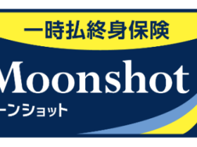 発表日:2024年10月04日 米ドル・円から通貨を選べる一時払終身保険「Moonshot」を発売 〜まとまった資金を活用し、万一の保障の準備と資産形成を可能に〜 オリックス生命保険株式会社（本社 : 東京都千代田区、社長 : 片岡 一則）は、2024年11月18日より、米ドルまたは円を指定通貨とする一時払終身保険「Moonshot（ムーンショット）」（以下、本商品）を発売しますのでお知らせします。 本商品は、一時払保険料を所定の積立利率で運用し、積み立てた金額を死亡保障や資産形成に活用いただける終身保険です。死亡保障と資金積立に機能を特化することで、高い利回り水準を目指すとともに、シンプルでご理解いただきやすい商品設計としています。また、指定可能な通貨として、米ドルまたは円の2種類をご用意しており、資産形成に対するお客さまのニーズや考え方に幅広くお応えします。 人生100年時代を迎え、将来を見据えた資産形成には、これまで以上に一人ひとりの自助努力が求められています。また、資産形成の目的として、「家族にのこす」だけでなく、セカンドライフで「ご自身でつかう」など多様化しています。このような時代において、「まとまった資金を活用して、万一の保障や相続に備えつつ、自らの資産形成もしたい」というお客さまのニーズにお応えするために本商品を開発しました。 当社は、今後も時代のニーズに合った商品をご提供し、多くのお客さまに選ばれる保険会社であり続けることを目指してまいります。 以上