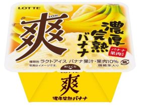 ロッテ、「爽」ブランドから「爽 濃厚完熟バナナ」を発売