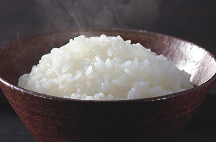 タイガー魔法瓶、土鍋炊飯器シリーズの最上位モデル「土鍋ご泡火炊き JRX-S100/S060」を発売