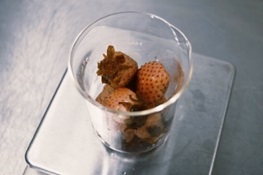 JR東日本スタートアップとmitosaya、蒸留酒の副産物をアップサイクルしたノンアルコールのクラフト飲料を発売