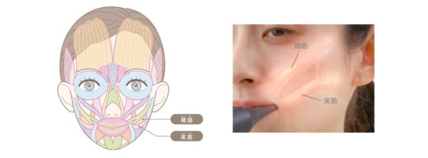 ヤーマン、歯磨きしながらリフトケアが行える歯ブラシ型美顔器「オーラルリフト」を「Makuake」で先行発売