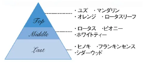 アテニア、新ボディケアシリーズ『アロマリチュアル&エイジングケア』を発売