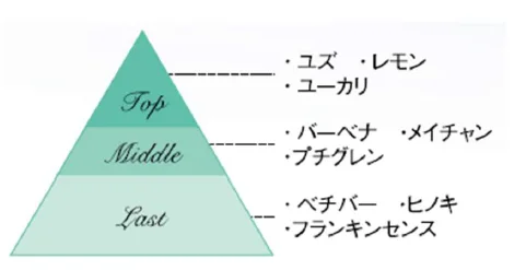 アテニア、新ボディケアシリーズ『アロマリチュアル&エイジングケア』を発売