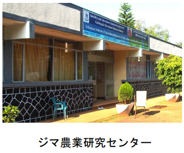 キーコーヒー、「コーヒーの未来部シリーズ」の第4弾として「エチオピア JARC74148」を数量数量限定発売