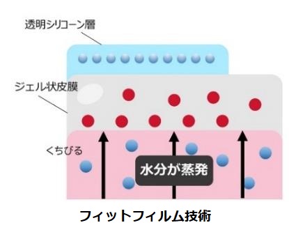 ナリス化粧品、ポイントメークブランド「グロリアート」をリニューアルし口紅「ザ ルージュ」10色とケースを発売